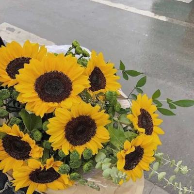 安博体育最新登录地址