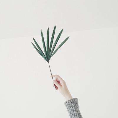 注册就送38的平台app下载